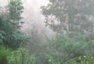 Bovelllandscaping-irrigation-4.jpg; ?>